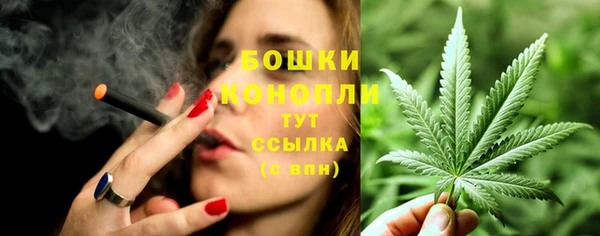 мдпв Гусев