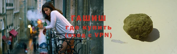 мдпв Гусев