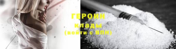 мдпв Гусев