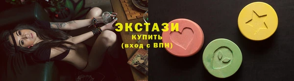 мдпв Гусев
