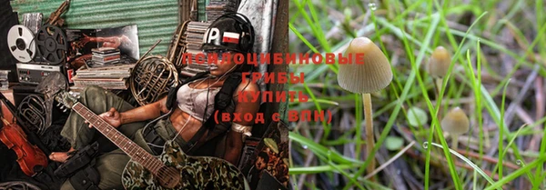синтетический гашиш Гусиноозёрск