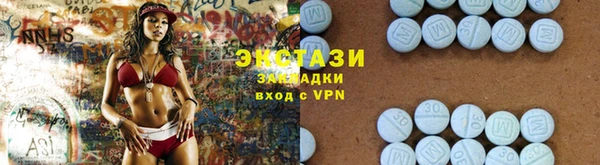 мдпв Гусев