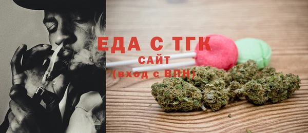 мдпв Гусев