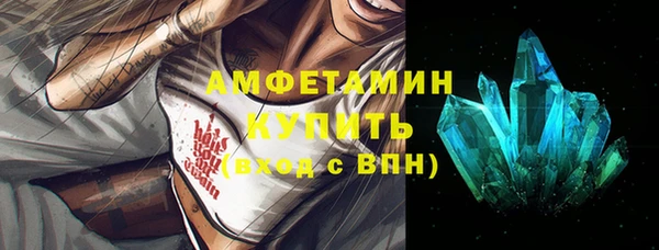 мдпв Гусев