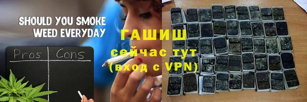 мдпв Гусев