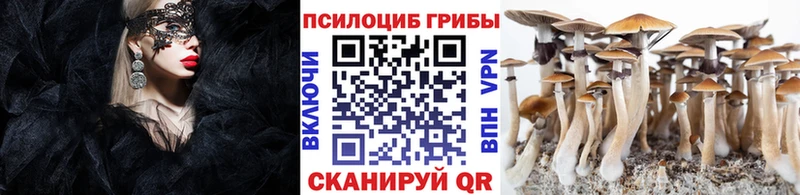 Галлюциногенные грибы Magic Shrooms  что такое   Пикалёво 