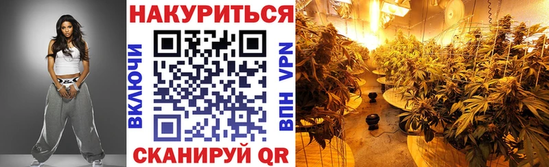Канабис гибрид Пикалёво